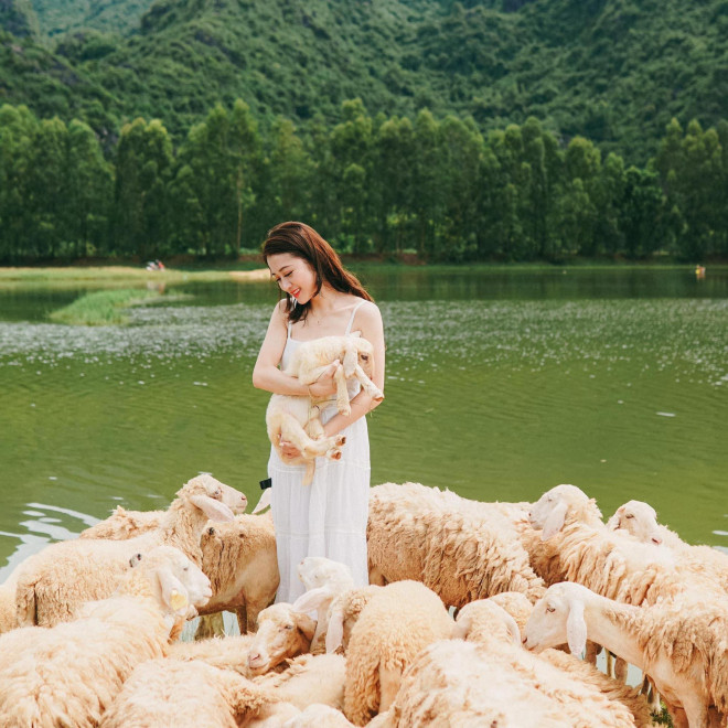 Cánh đồng cừu ở Ninh Bình nhanh chóng chiếm trọn trái tim của biết bao tín đồ sống ảo